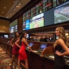 t77 bet